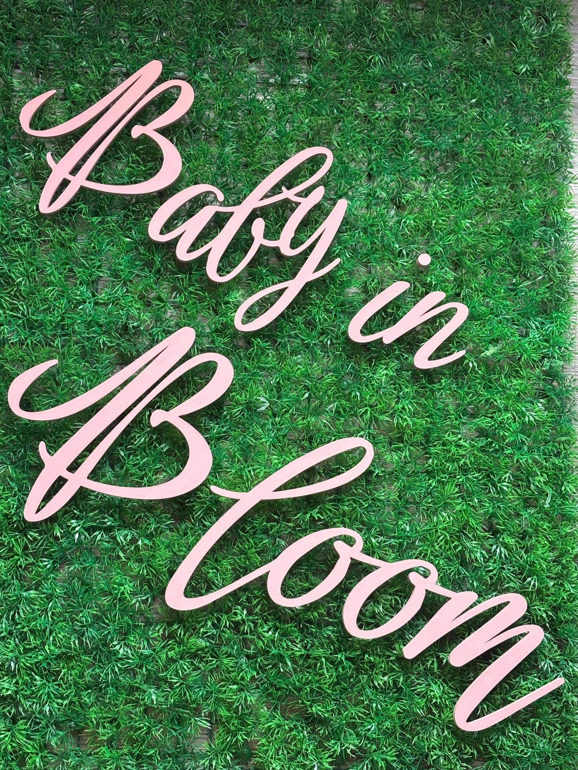 Baby in Bloom Baby Shower Sign - Diamond Touch Designs